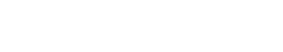 DoubleStar logo
